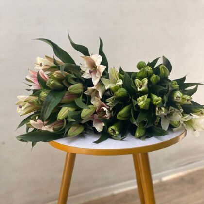 Blush & Bloom Lily Bunch